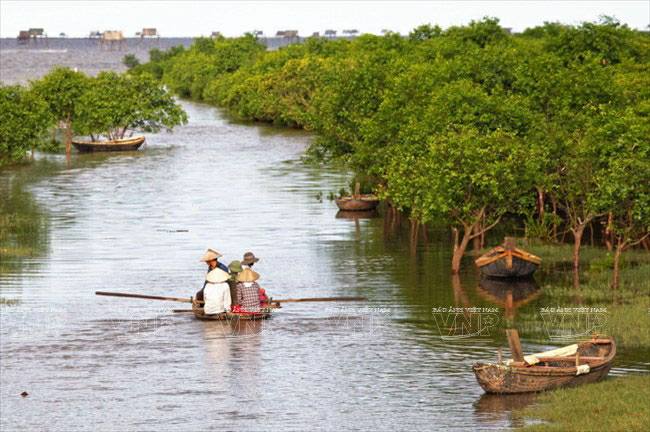 Người giữ màu xanh cho cồn Đen, huyện Thái Thụy, tỉnh Thái Bình (17/4/2019)